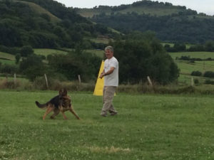 Criadores de Pastor Alemán